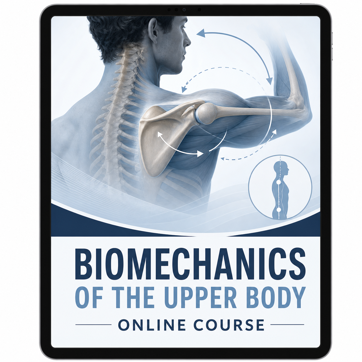 Biomechanics of the Upper Body